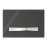 Cutout image of Geberit Sigma50 Square Black Glass Dual Flush Plate